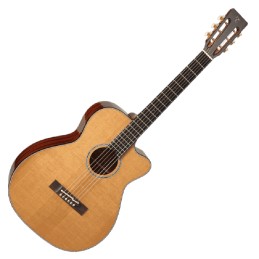 TAKAMINE - GUITARE FOLK...